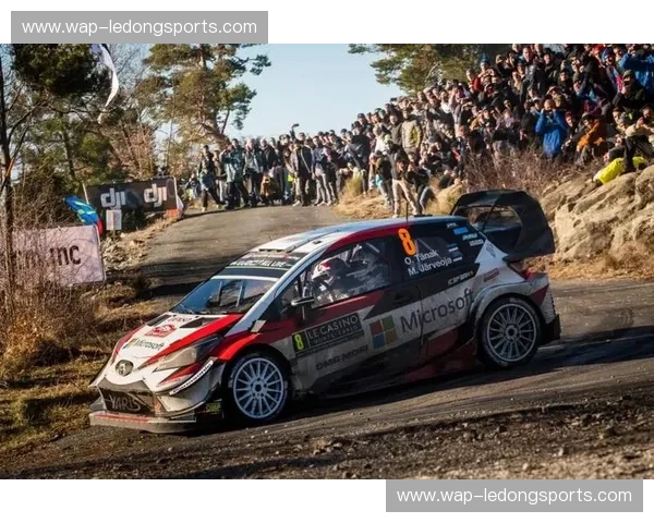 开云体育多线路直播：让热血赛事不再卡顿的观赛新体验