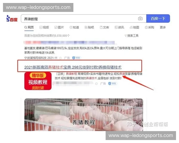 活动策划回放：把每一次热闹都变成可复制的价值